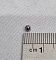micro photo